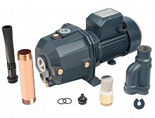 Поверхностный насос Unipump DP 750 (13056)